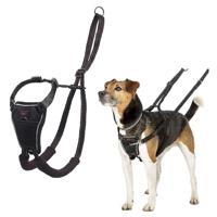 Company Of Animals Halti No Pull Harness Small