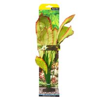 Aqua One Silk Plant-Amazon Red/Green 40Cm