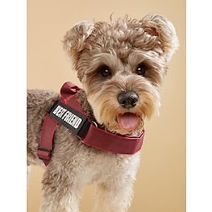 Dog Cat Harness Adjustable Vest Sports Adjustable Outdoor Letter Classic Polyester Small Dog Medium Dog Large Dog Light Red 1PC Lightinthebox