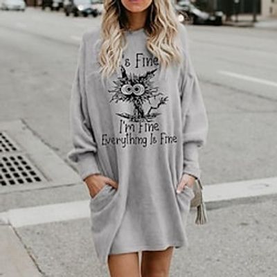 Women's Sweatshirt Dress Winter Dress Mini Dress Gray Long Sleeve Animal Cat Letter Pocket Print Winter Fall Hooded Casual Fall Dress Loose Fit 2022 S M L XL XXL 3XL Lightinthebox
