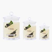 Wax Lyrical Berry Picking Fragranced Jar Candle