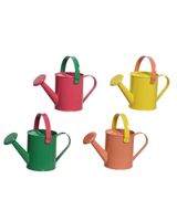 Kaemingk Wateringcan Galvanized Steel Assorted 1 Piece By Homesmiths