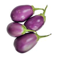 Fit Fresh Baby Eggplant Purple - ME Kg