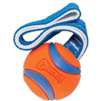 Petmate Chuckit! Ultra Bumper Tug Medium Dog Toy