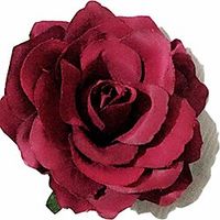 rose flower hair clips flower brooch pin hairpin for women nfj03 (white) miniinthebox - thumbnail