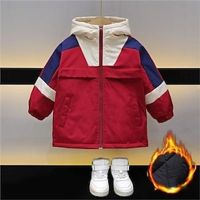 Kids Unisex Hoodie Jacket Outerwear Solid Color Long Sleeve Coat Outdoor Adorable Daily claret Green Spring Fall 7-13 Years Lightinthebox