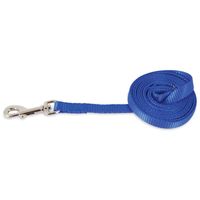 Petmate Aspen Pet Nylon Dog Lead 1 Inch X 5 Inch, Royal Blue