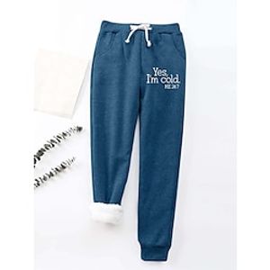 Women's Fleece Pants Sweatpants Pants Trousers Full Length Active Streetwear Outdoor Street Wine Grey S M Fall Winter Lightinthebox