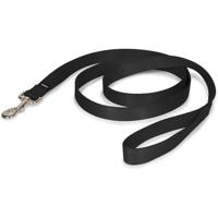 Aspen Pet 20050 Single Nylon Pet Leash - 1-Inch 6-Feet - Black