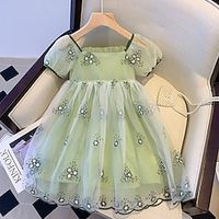 Kids Little Girls' Dress Flower Tulle Dress Party Daily Mesh Light Green Knee-length Short Sleeve Princess Cute Dresses Children's Day Spring Summer Slim 3-10 Years Lightinthebox - thumbnail