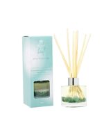 Prickly Pear Heal Green Aventurine Crystal Infused Reed Diffuser White Tea & Ginger