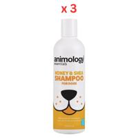 Animology Essentials Honey & Shea Dog Shampoo 250ml Pack Of 3