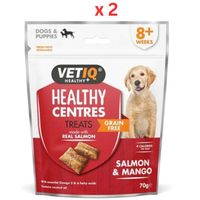 VetIQ Healthy Centres Salmon Mango Dog Treats 70g (Pack of 2)
