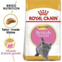 Royal Canin Feline Breed Nutrition British Shorthair Kitten 2 Kg