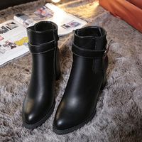 Sexy Square Heel Buckle Solid Color Pointed Toe Zipper Boots For Women