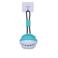 For Pet Ball Shaped Molar Dog Chew Toy - Blue