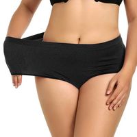 High Waisted Seamless Tummy Slimming Panties