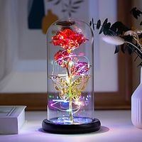 Rose Flower Gifts for Women,Birthday Gifts For Women,Womens Gifts for Christmas,Mom Gift For Xmas,Colorful Rainbow Artificial Flower Rose Light Up Rose in A Glass Dome,Flower Gifts For Her,Anniversary miniinthebox - thumbnail