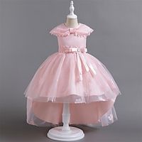 Kids Girls' Party Dress Solid Color Sleeveless Formal Performance Anniversary Fashion Adorable Princess Polyester Flower Girl's Dress Summer Spring Fall 2-13 Years Champagne Pink Sky Blue Lightinthebox