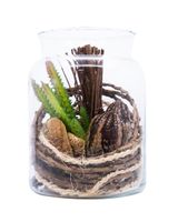 Homesmiths Artificial Plant In Glass Pot 125 x 160 mm Homesmiths Artificial Plant In Glass Pot 125 x 160 mm