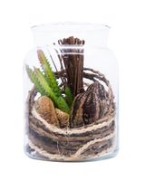 Homesmiths Artificial Plant In Glass Pot 125 x 160 mm - thumbnail