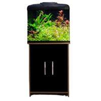 Aqua One Aquavue 580 Cabinet 58X32X74Cm Black Gloss Reversible Door, Walnut