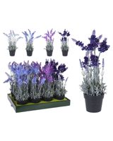 Homesmiths Lavender 40cm Assorted 1 Piece