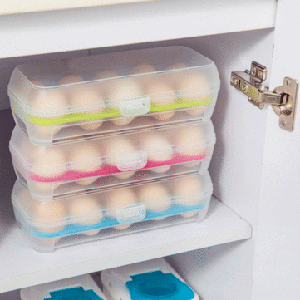 Food Container Egg Storage Box 10 Grid Basket Organizer Refrigerator Space Saver Kitchen Accessory
