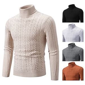 Men's Pullover Sweater Jumper Turtleneck Sweater Knit Sweater Ribbed Cable Knit Regular Knitted Plain Roll Neck Keep Warm Modern Contemporary Daily Wear Going out Clothing Apparel Fall Winter Black Lightinthebox
