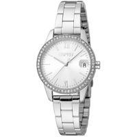 Esprit Silver Women Watch (ES-1042732)