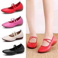 Women's Ballet Shoes Performance Party Evening Heel Low Heel Elastic Adults' Black Red Rose Red Lightinthebox - thumbnail