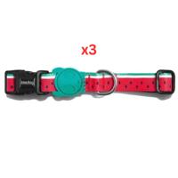 Zee Dog Lola Collar Small (Pack of 3)