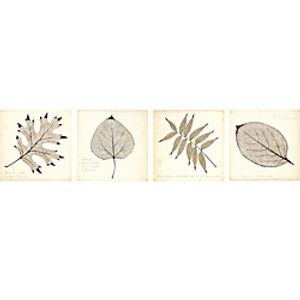 4 Panels Wall Art Poster Prints Painting Artwork Picture HD Inkjet Printing Self Adhere Decorative Painting Plant Leaves Home Decoration Waterproof Dcor Stretched No Frame Unframed Lightinthebox