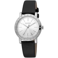 Esprit Silver Women Watch (ES-1042708)