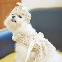 Pet Supplies dog Pinky Chest straps cat vest leash dog harnesses Lightinthebox - thumbnail
