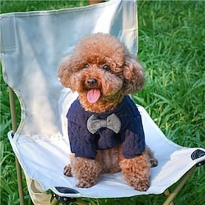 English Gentlemen's Bow Elegant Activity Festival Outdoor Warmth Comfortable And Versatile Lightinthebox