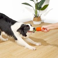 Dog Squeaky Chew Toys for Aggressive Chewers Rubber Carrot Dog Toys for Training and Cleaning Durable Interactive Tough Dog Toy for Puppy Breed Medium Dogs Lightinthebox - thumbnail