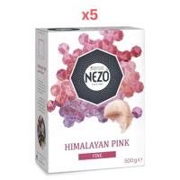 Nezo Himalayan Salt 500G Pack of 5