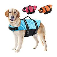 Dog Dog Life Jacket Beach Pool Dog Clothes Puppy Clothes Dog Outfits Sports Outdoors Camouflage Color Pearl Pink Yellow Costume for Girl and Boy Dog Polyester XXS XS S M L XL miniinthebox Dog Dog Life Jacket Beach Pool Dog Clothes Puppy Clothes Dog Outfits Sports Outdoors Camouflage Color Pearl Pink Yellow Costume for Girl and Boy Dog Polyester XXS XS S M L XL miniinthebox