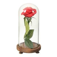 Beauty and The Beast The Little Prince Glass Cover