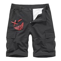 Men's Cargo Shorts 6 Pocket Graphic Outdoor Short Sports Outdoor Classic Black Light Grey Micro-elastic Lightinthebox