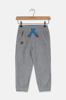 Toddler Boys Fleece Jogger Pant  Grey - thumbnail