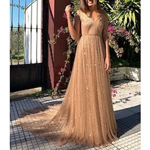 A-Line Sparkle Fairy Prom Formal Evening Dress V Neck 34 Length Sleeve Court Train Tulle with Pleats Sequin 2022 Lightinthebox