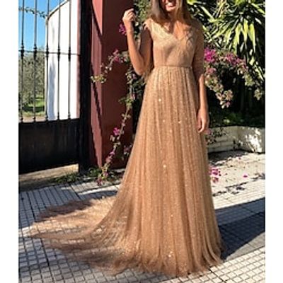 A-Line Sparkle Fairy Prom Formal Evening Dress V Neck 34 Length Sleeve Court Train Tulle with Pleats Sequin 2022 Lightinthebox