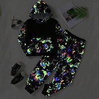 Boys 3D Graphic Hoodie  Pants Set Long Sleeve 3D Printing Fall Winter Active Fashion Cool Polyester Kids 3-12 Years Outdoor Street Vacation Regular Fit Lightinthebox - thumbnail