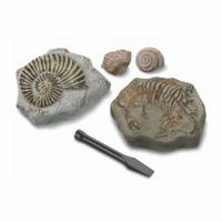 Discovery Mindblown Excavation Kit Mini Fossil