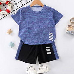 Kids Boys' T-shirt  Shorts Clothing Set Short Sleeve Purple Army Green Orange Graphic Print Active Regular 3-12 Years miniinthebox