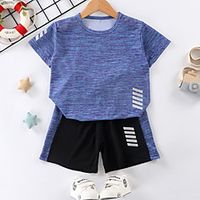 Kids Boys' T-shirt  Shorts Clothing Set Short Sleeve Purple Army Green Orange Graphic Print Active Regular 3-12 Years miniinthebox - thumbnail