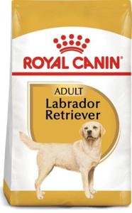 Royal Canin Breed Health Nutrition Labrador Retriever Adult 12 Kg Dog Food