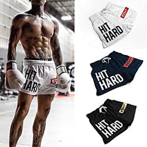 Men's Casual Sporty 5.5 Inch Inseam Short Athleisure Quick Dry Breathable Sports Daily Beach Chinos Shorts Pants Letter Short Drawstring Elastic Waist Lightinthebox